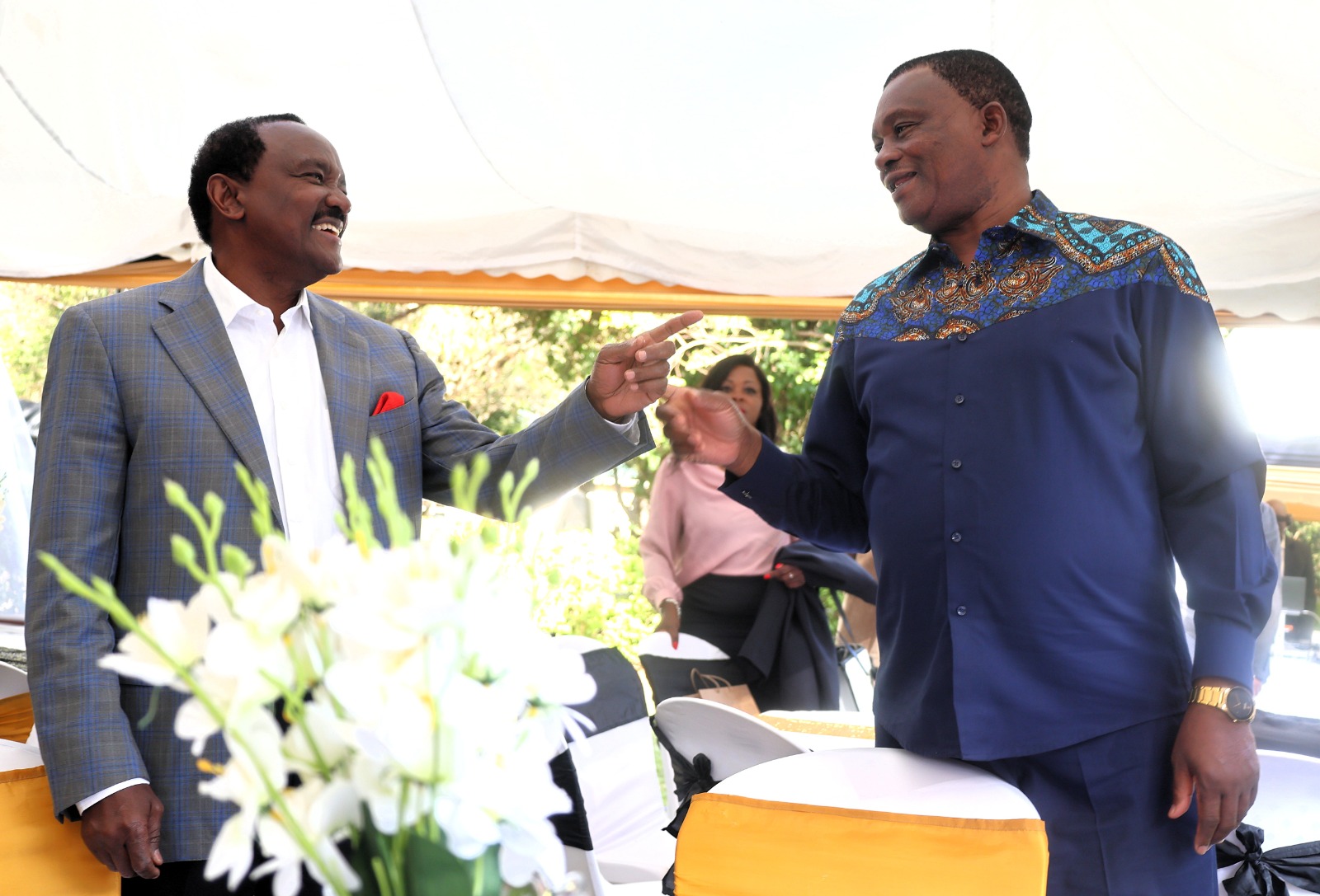 Kalonzo And Muturi